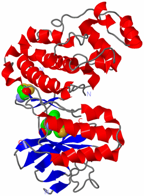 Image Asym./Biol. Unit