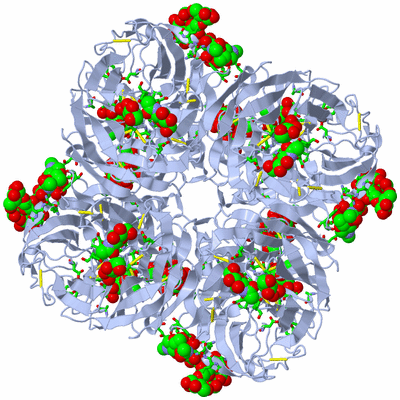 Image Biol. Unit 1 - sites