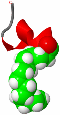 Image NMR Structure - model 1