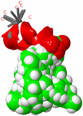 Image NMR Structure - all models