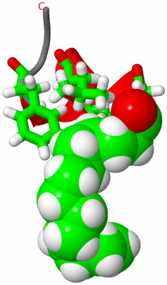 Image NMR Structure - model 1, sites