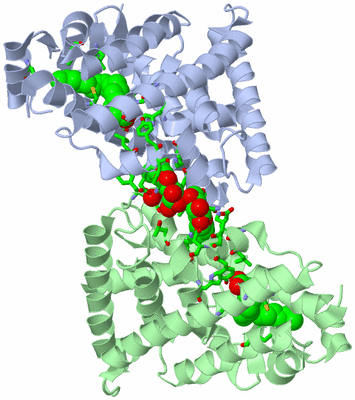 Image Asym. Unit - sites