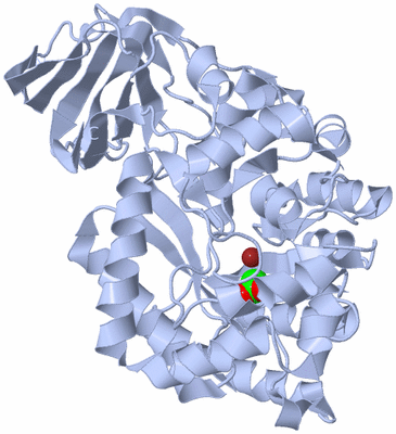 Image Biological Unit 1