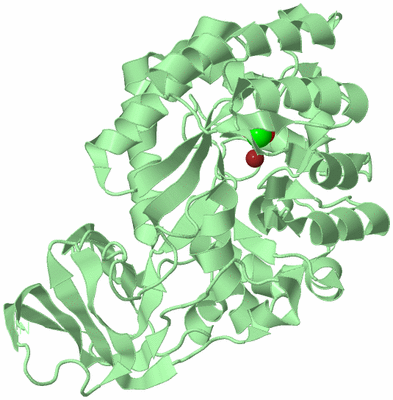 Image Biological Unit 2