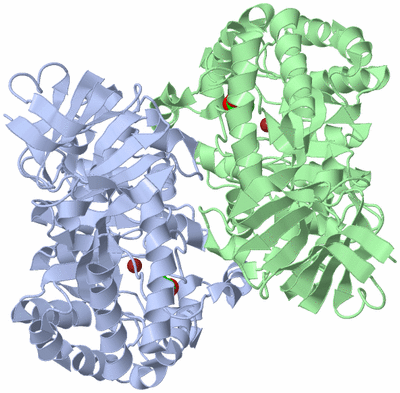 Image Biological Unit 3