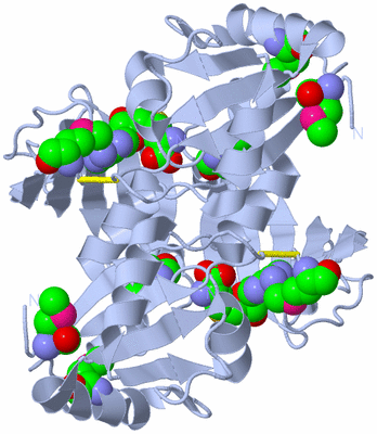 Image Biological Unit 1