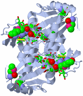 Image Biol. Unit 1 - sites