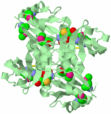 Image Biological Unit 2