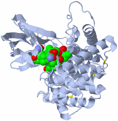 Image Biological Unit 1