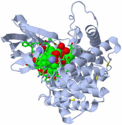 Image Biol. Unit 1 - sites