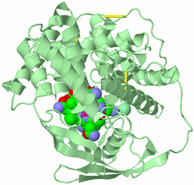Image Biological Unit 2