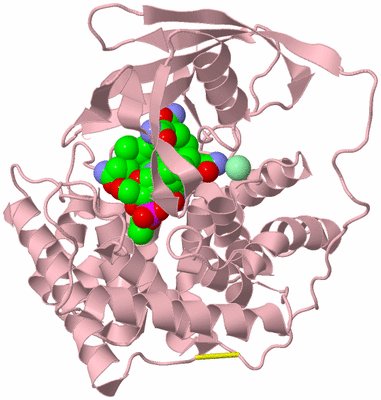 Image Biological Unit 3