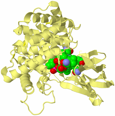 Image Biological Unit 4