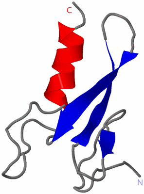 Image NMR Structure - model 1