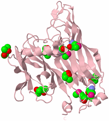 Image Biological Unit 3