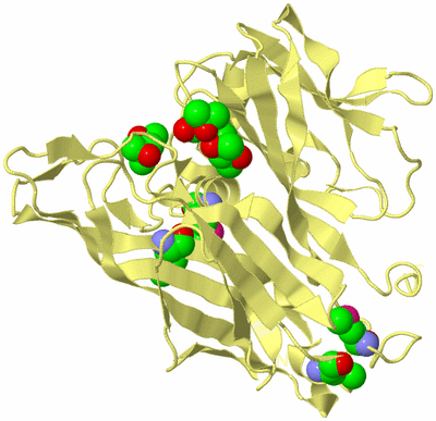 Image Biological Unit 4