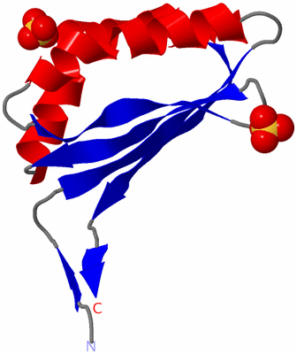 Image Asymmetric Unit