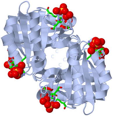 Image Biol. Unit 1 - sites
