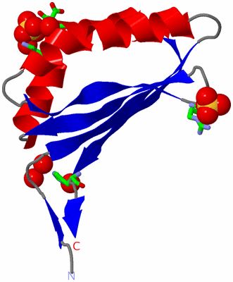 Image Asym. Unit - sites