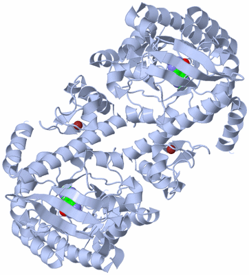 Image Biological Unit 2