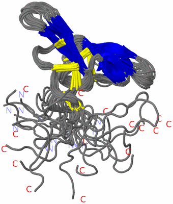 Image NMR Structure - all models