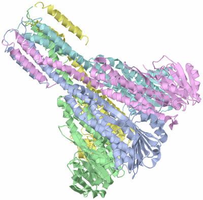 Image Asym./Biol. Unit