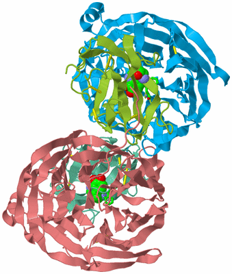 Image Asym./Biol. Unit - sites