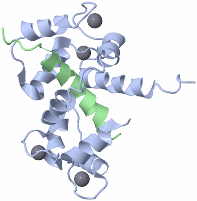 Image NMR Structure - model 1