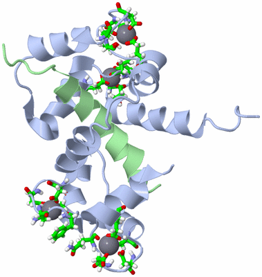 Image NMR Structure - model 1, sites