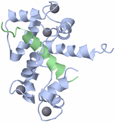 Image NMR Structure - model 1