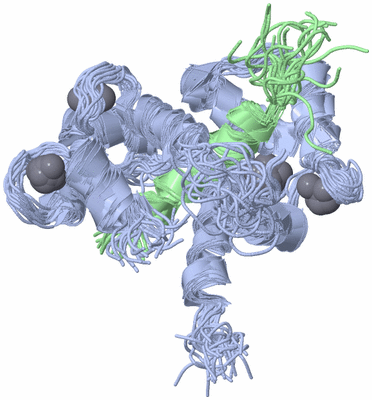 Image NMR Structure - all models