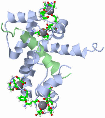 Image NMR Structure - model 1, sites