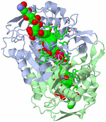 Image Asym./Biol. Unit - sites