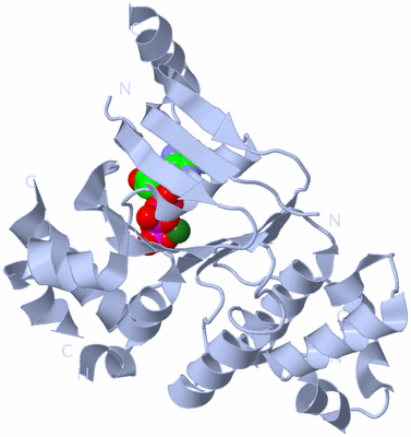 Image Biological Unit 1