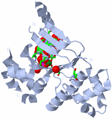 Image Biol. Unit 1 - sites