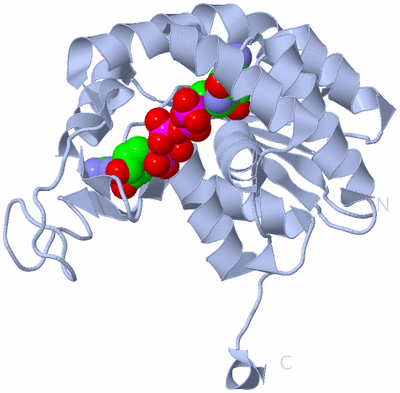 Image Biological Unit 1