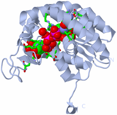 Image Biol. Unit 1 - sites