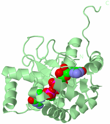 Image Biological Unit 2