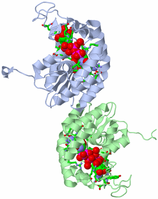 Image Asym. Unit - sites