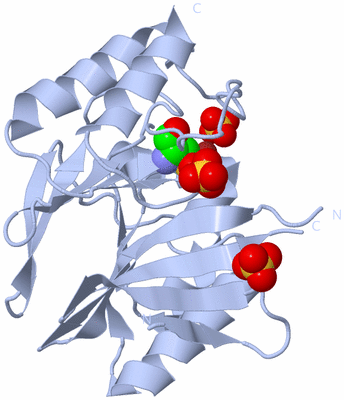 Image Biological Unit 1