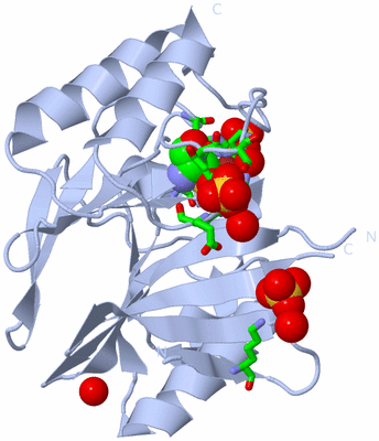 Image Biol. Unit 1 - sites