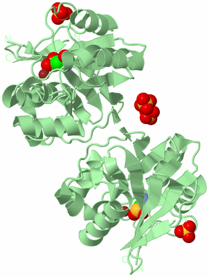 Image Biological Unit 3