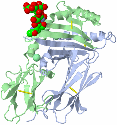 Image Biological Unit 1