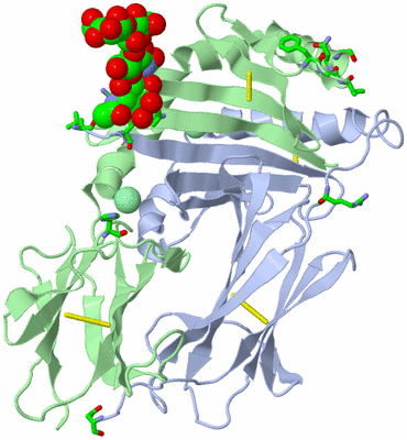 Image Biol. Unit 1 - sites