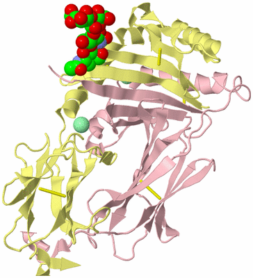 Image Biological Unit 2