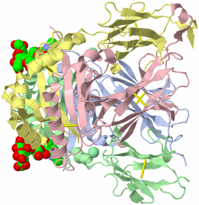 Image Biological Unit 3