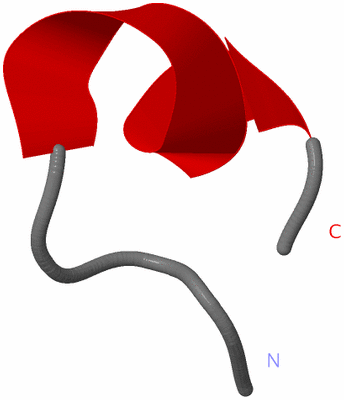 Image NMR Structure - model 1