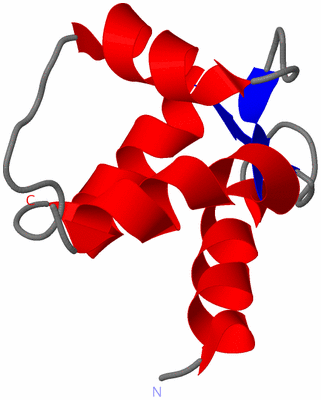 Image NMR Structure - model 1