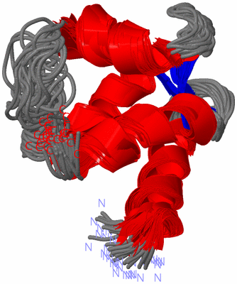 Image NMR Structure - all models