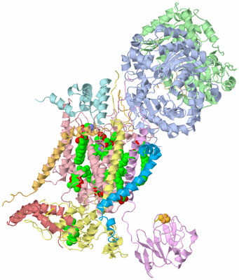 Image Asym./Biol. Unit